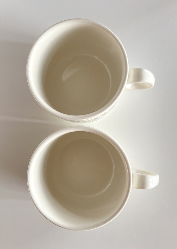 Lot de 2 tasses et sous-tasses Villeroy & Boch Troubadour
