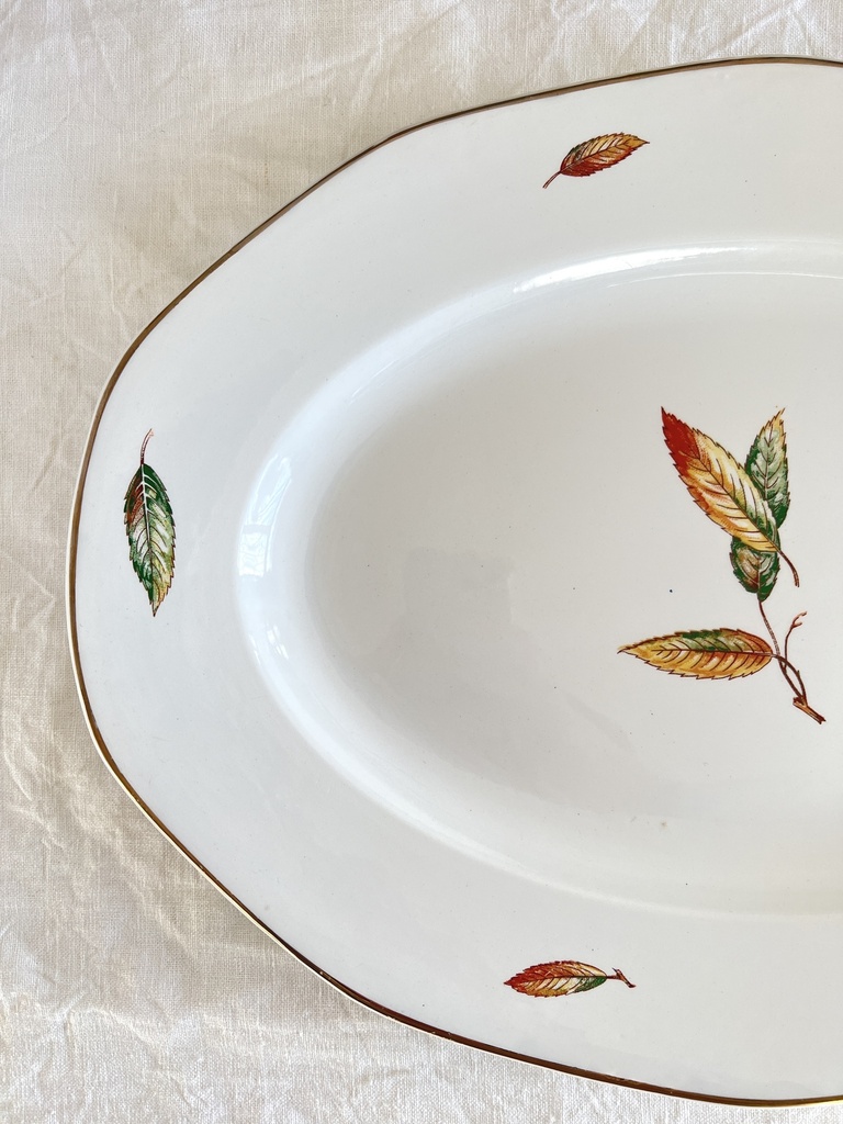 Plat ovale Digoin Sarreguemines Nemours