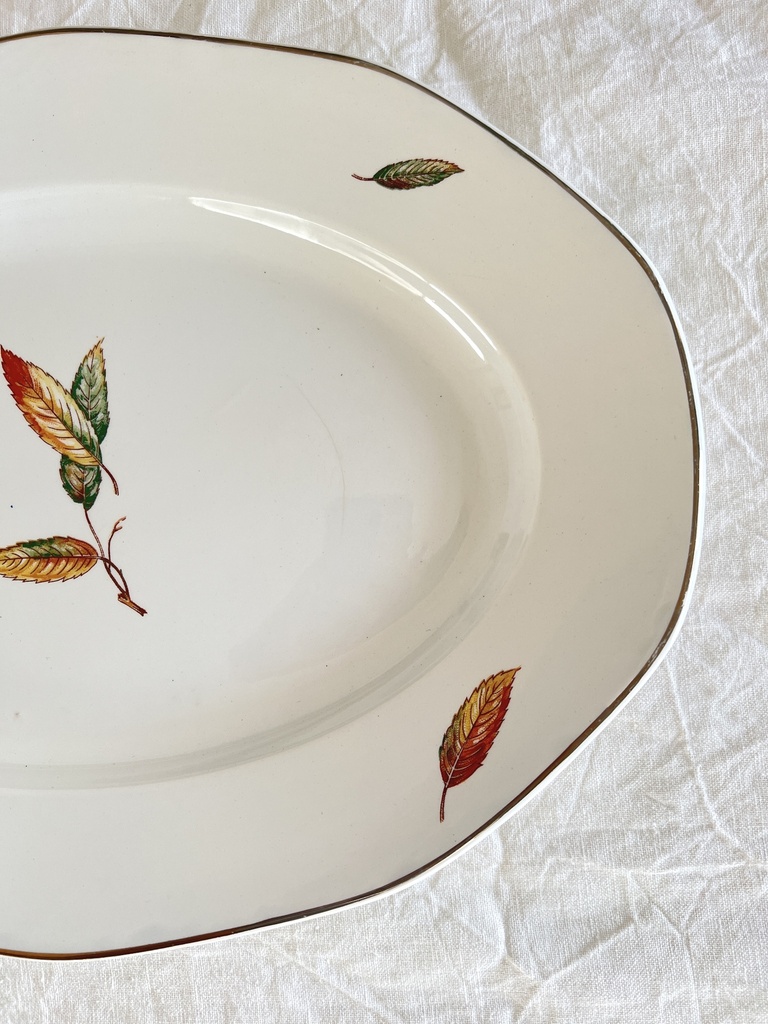 Plat ovale Digoin Sarreguemines Nemours