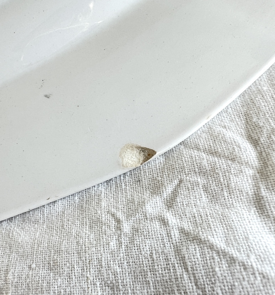 Plat ovale Digoin Sarreguemines Nemours