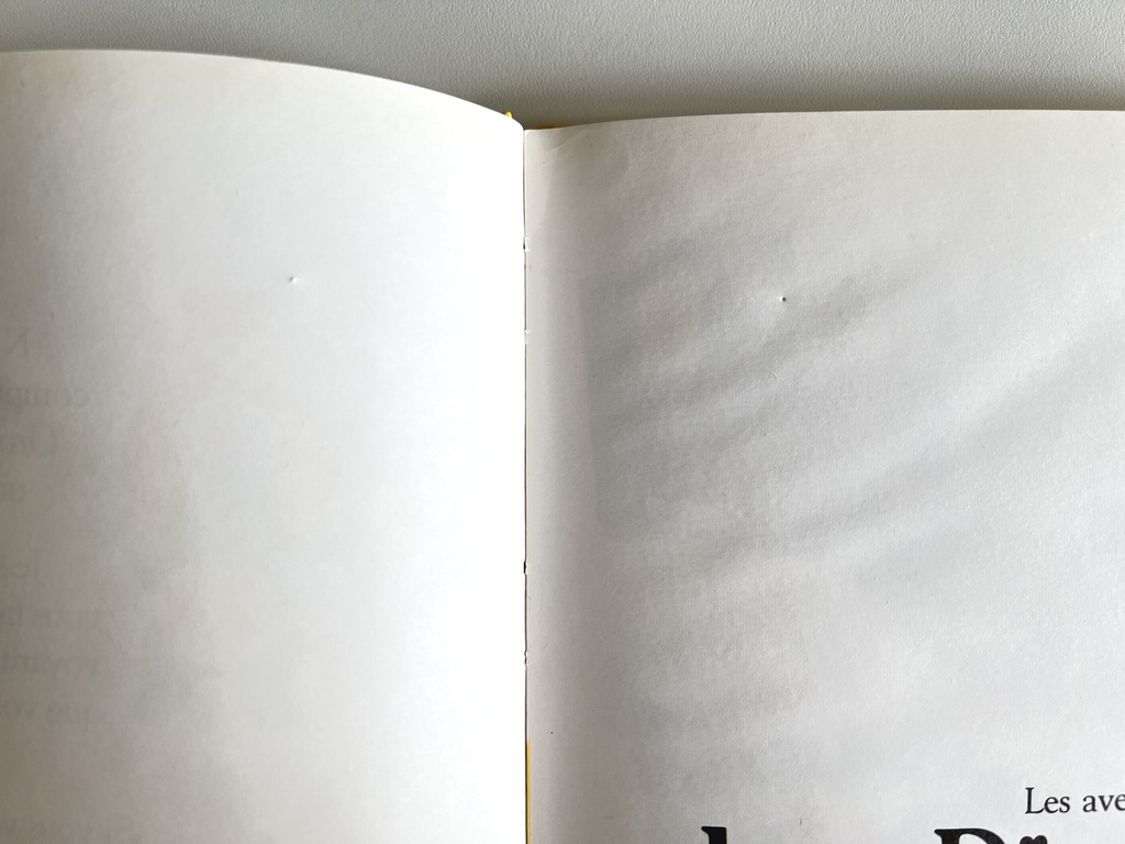 Livre Les Bisounours - La sorcière du bout de la rue