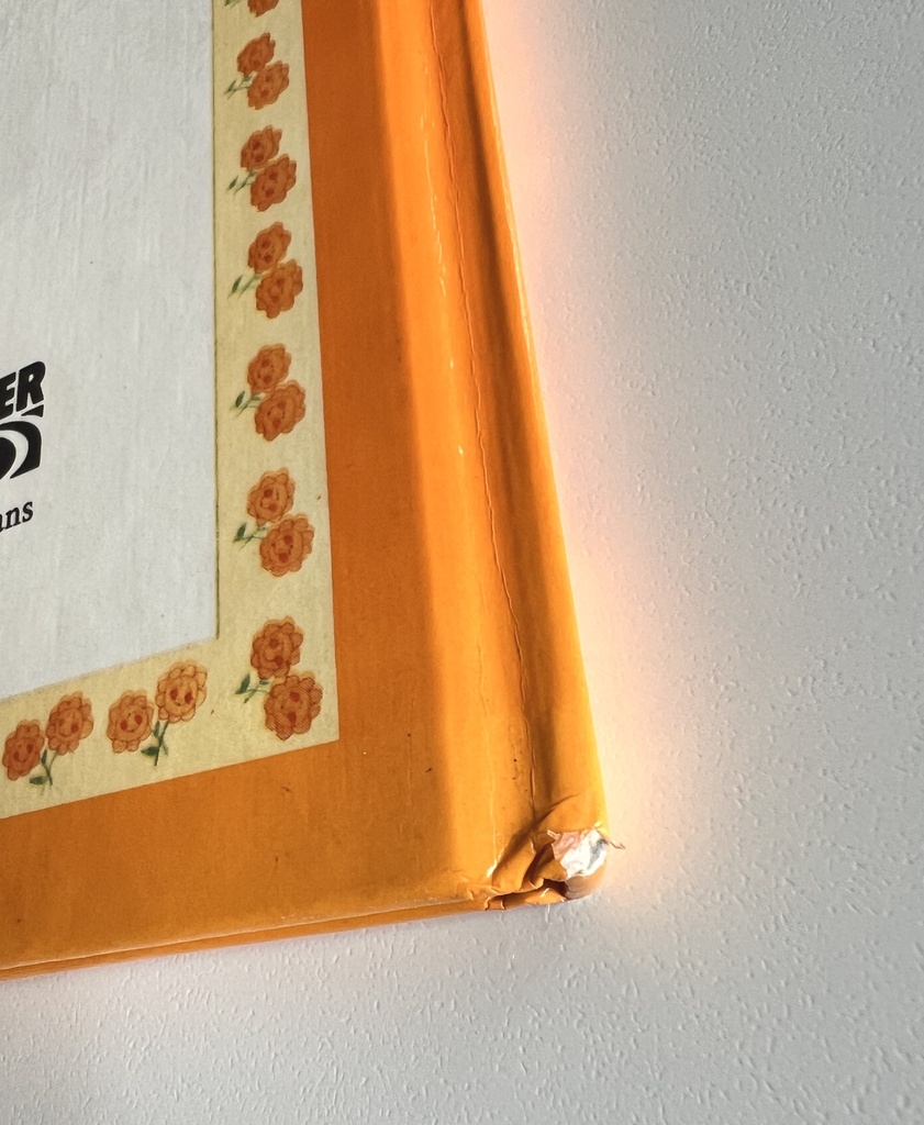 Livre Les Bisounours - Les mésaventures de Mathieu