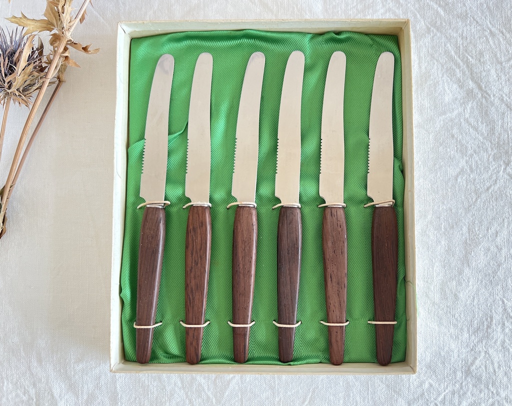 Boîte de 6 couteaux à tartiner Solingen