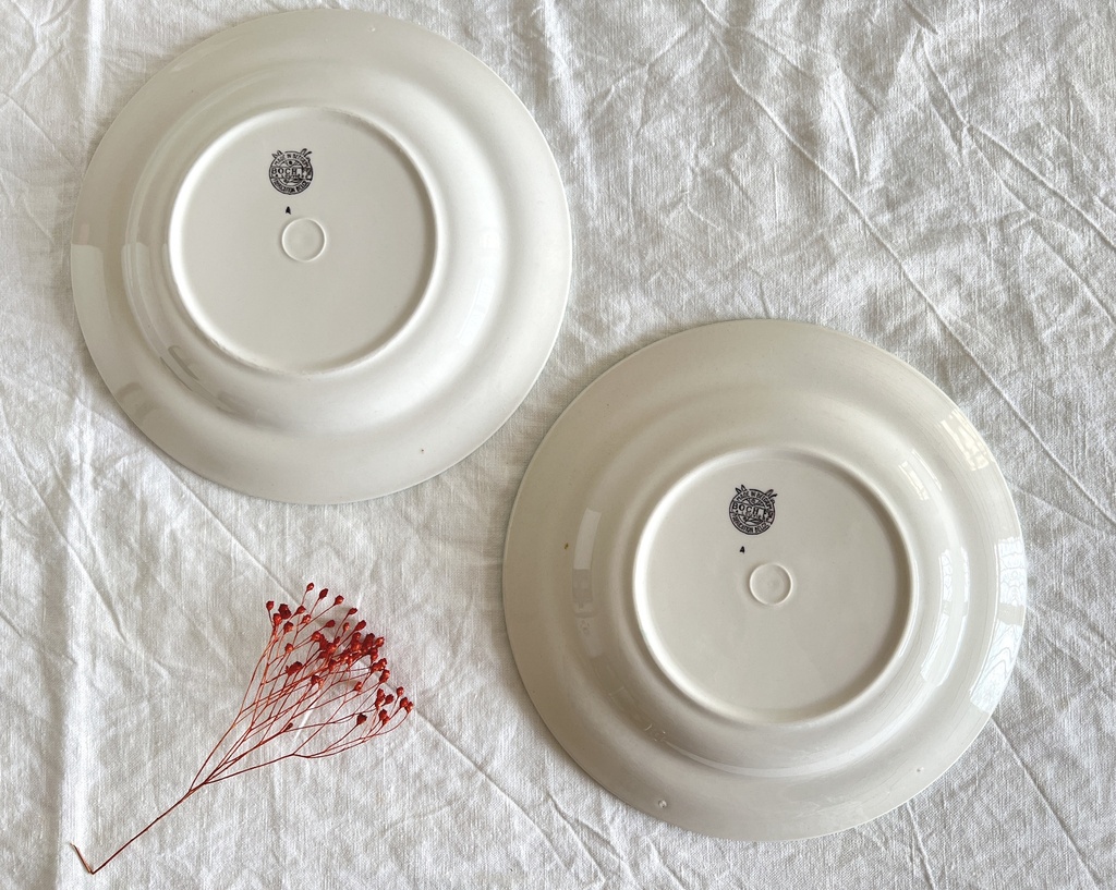 Lot de 2 assiettes à dessert à bord bleu Boch