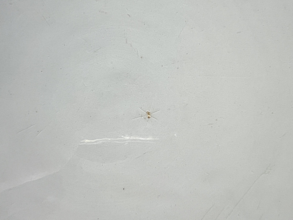 Grande assiette ronde à motifs géométriques bleus FB (Fénal Badonviller)