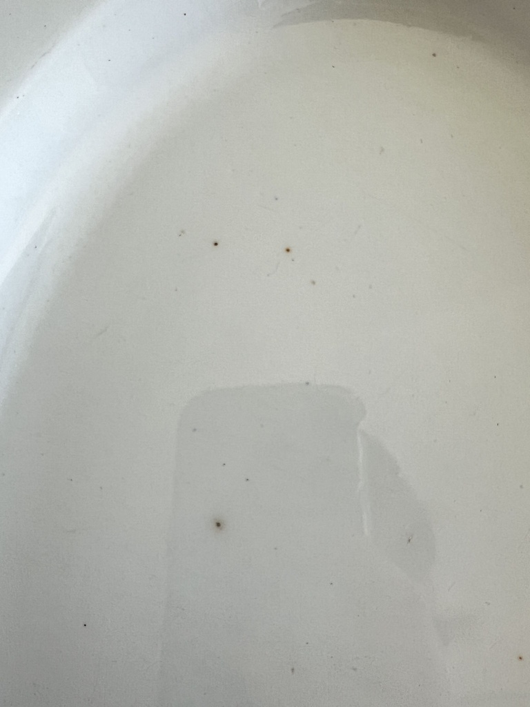 Plat ovale à viande Boch Gland