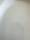 Plat ovale à viande Boch Gland