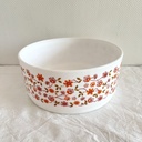 Saladier Arcopal Scania