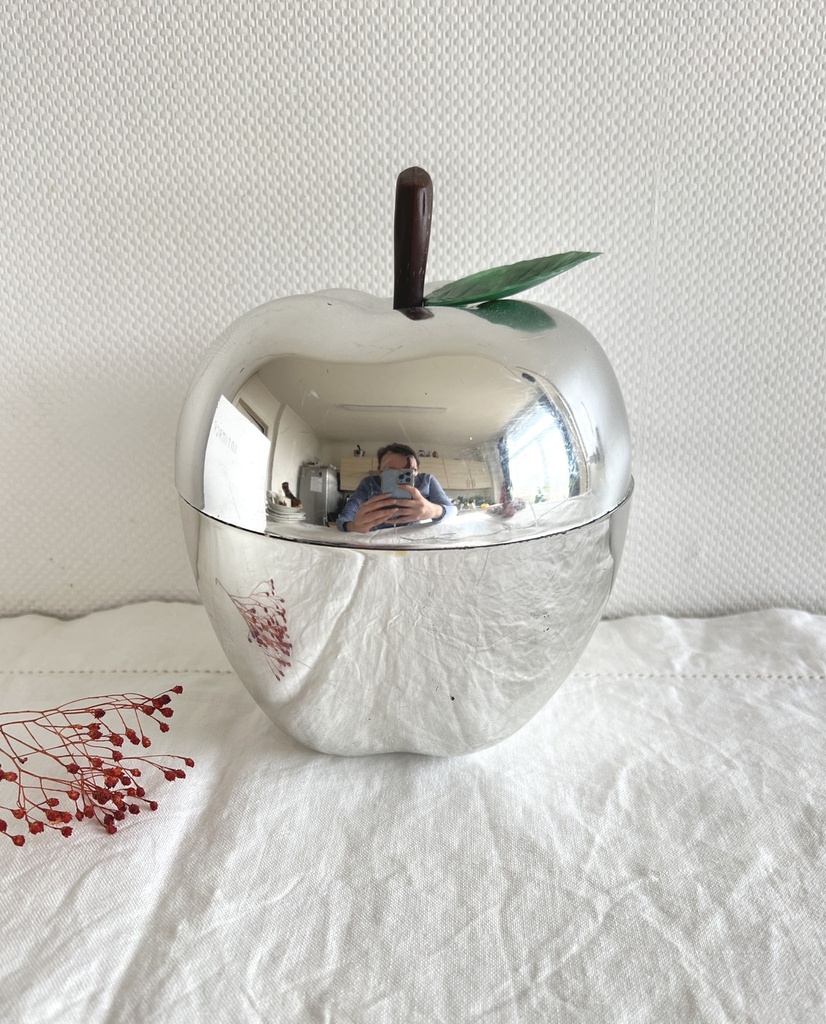 Pomme à glaçons argentée