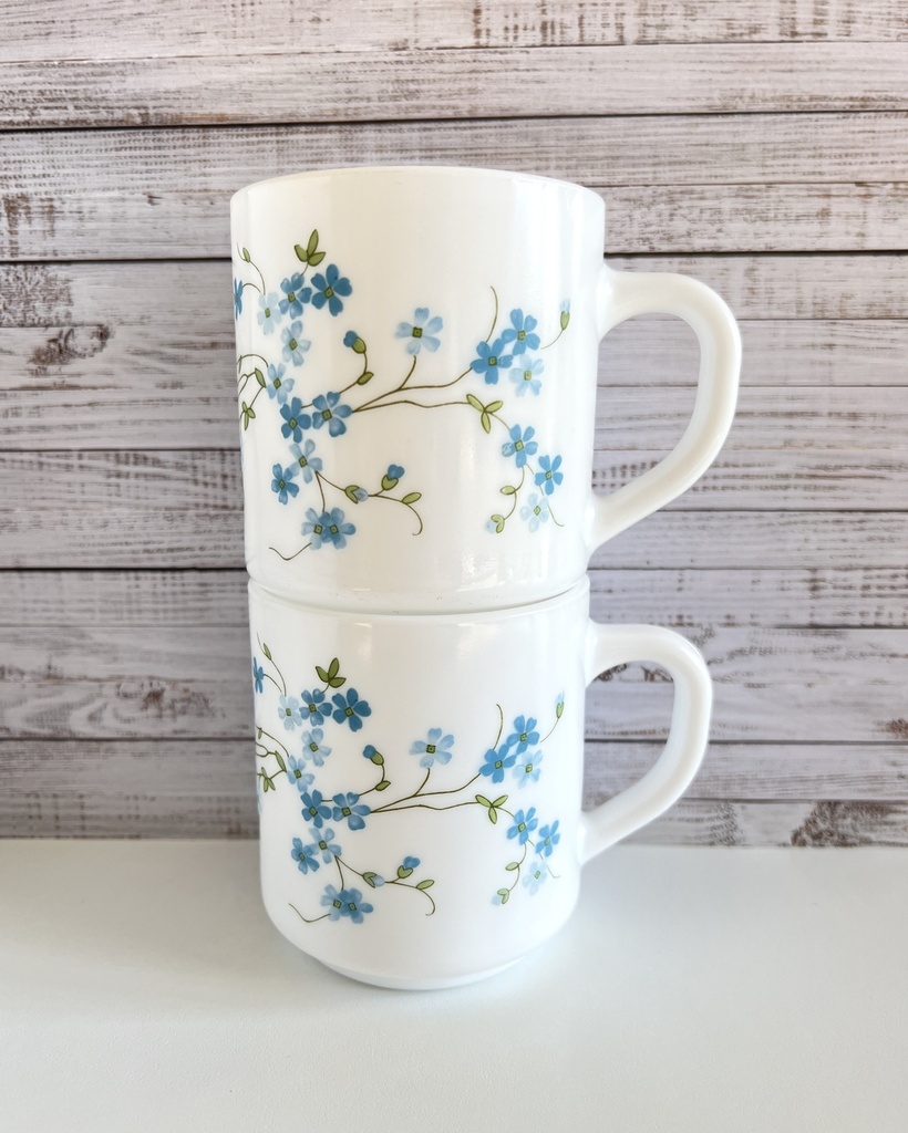 Lot de 2 mugs Arcopal Myosotis Veronica