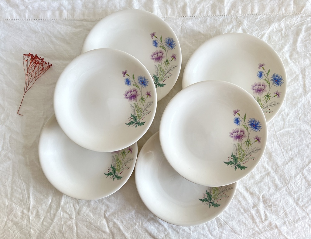 Lot de 6 assiettes plates Boch Trois Fleurs