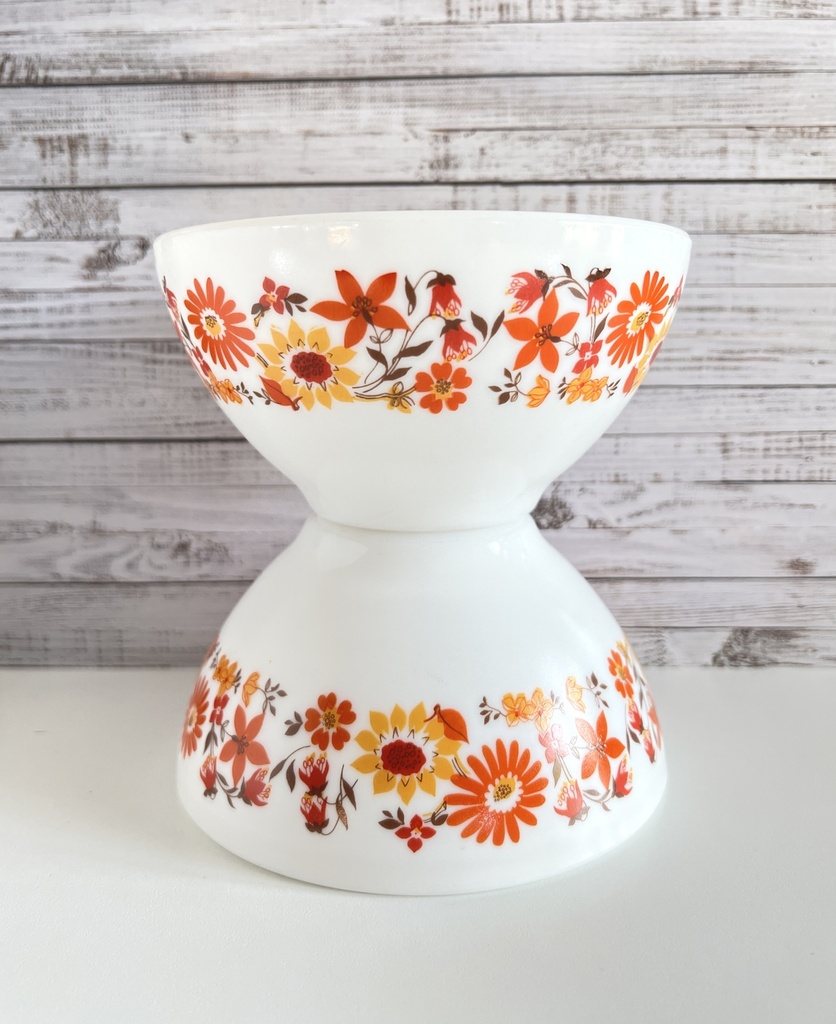 Lot de 2 bols Arcopal Flore