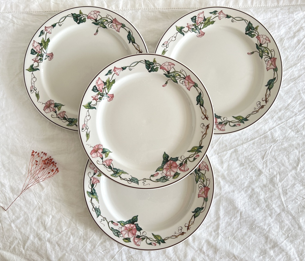 Lot de 4 assiettes plates Villeroy & Boch Palermo