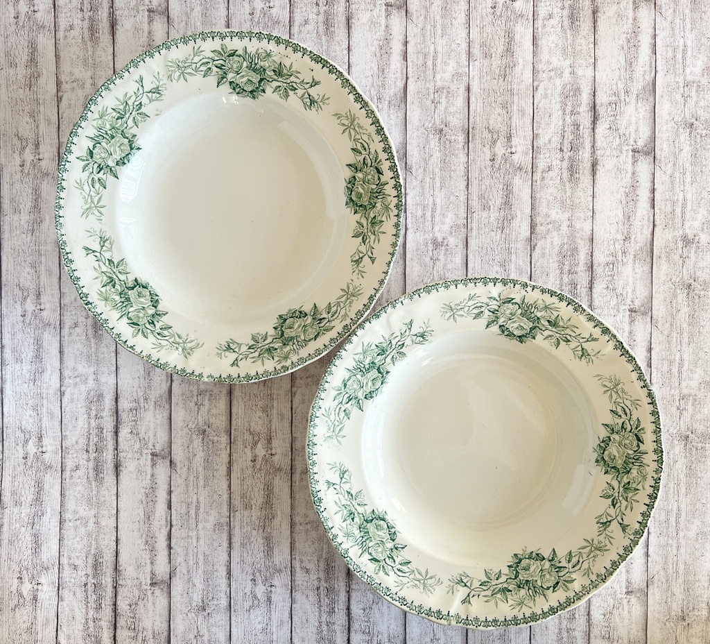 Lot de 2 assiettes creuses Boch Minerva vert