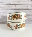 Lot de 2 bols Villeroy & Boch Cottage