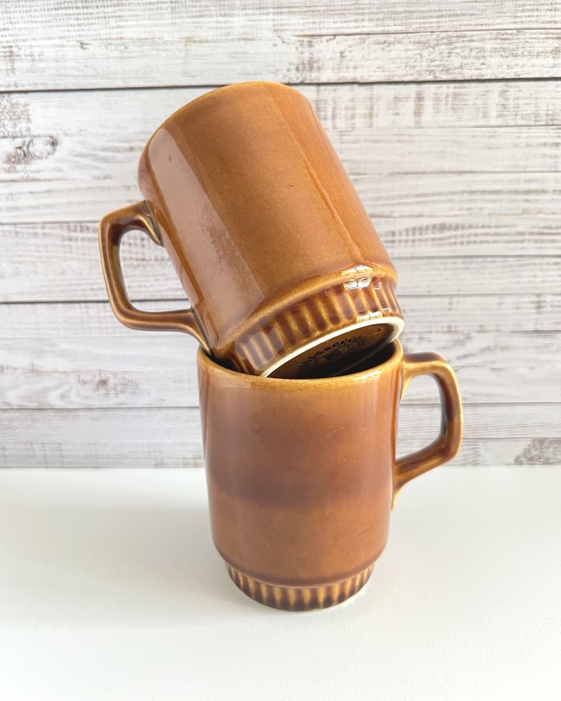 Lot de 2 tasses hautes Boch Delta Brun Provence