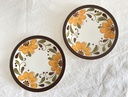 Lot de 2 assiettes à dessert Boch Delta Paradiso