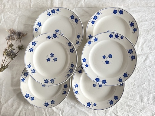 Lot De 6 Assiettes Vintage Camping émaillées - Bleu Blanc Pois Mouchetés - 10 Cm