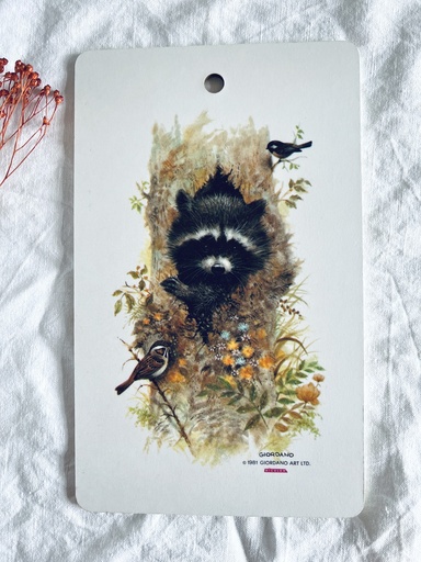 Planche à tartiner Ricolor Raton laveur