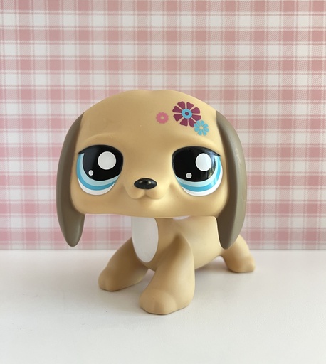 Figurine jumbo Teckel (Dachsund) Littlest Pet Shop - 2008