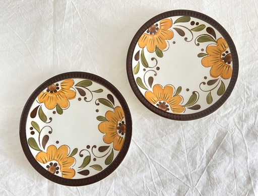 Lot de 2 assiettes à dessert Boch Delta Paradiso